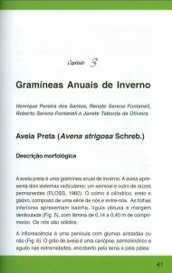 Gramíneas anuais de inverno