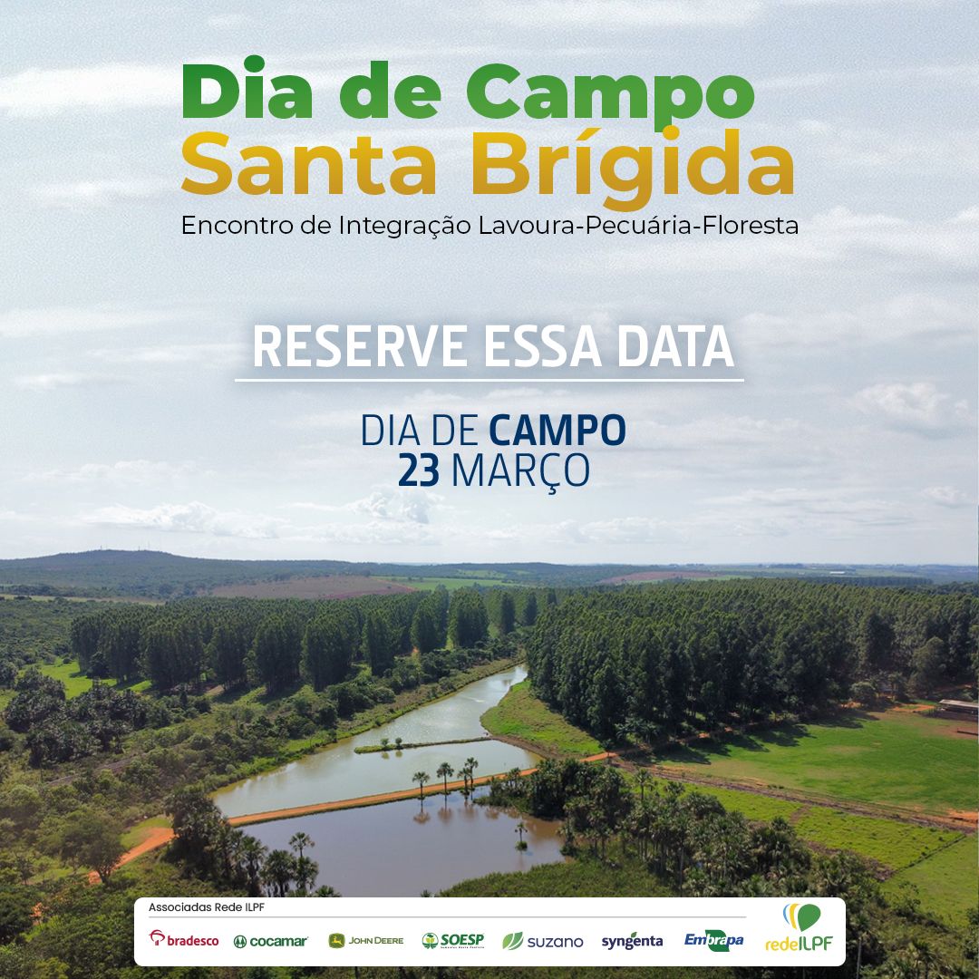 Dia de Campo Fazenda Santa Brígida