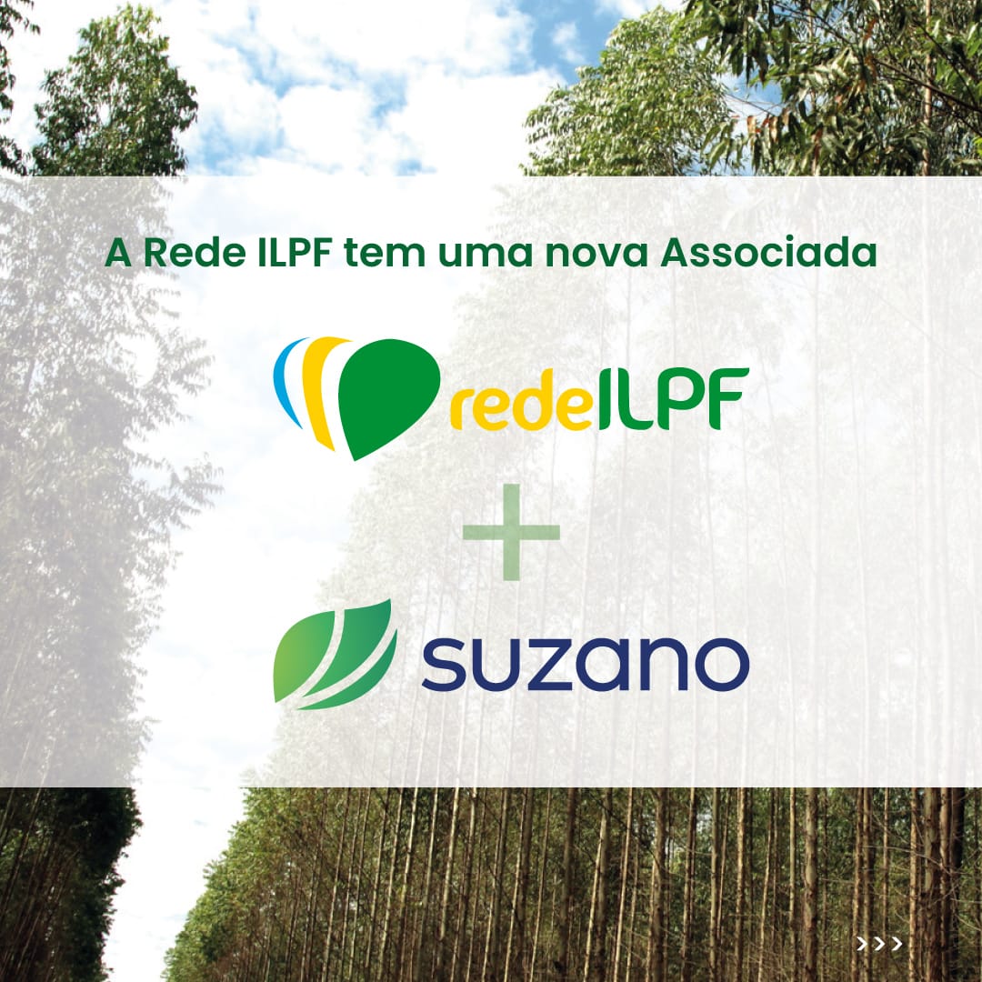 Nova Associada: A Suzano, referência global na fabricação de bioprodutos desenvolvidos a partir do cultivo de eucalipto, agora faz parte da Rede ILPF.