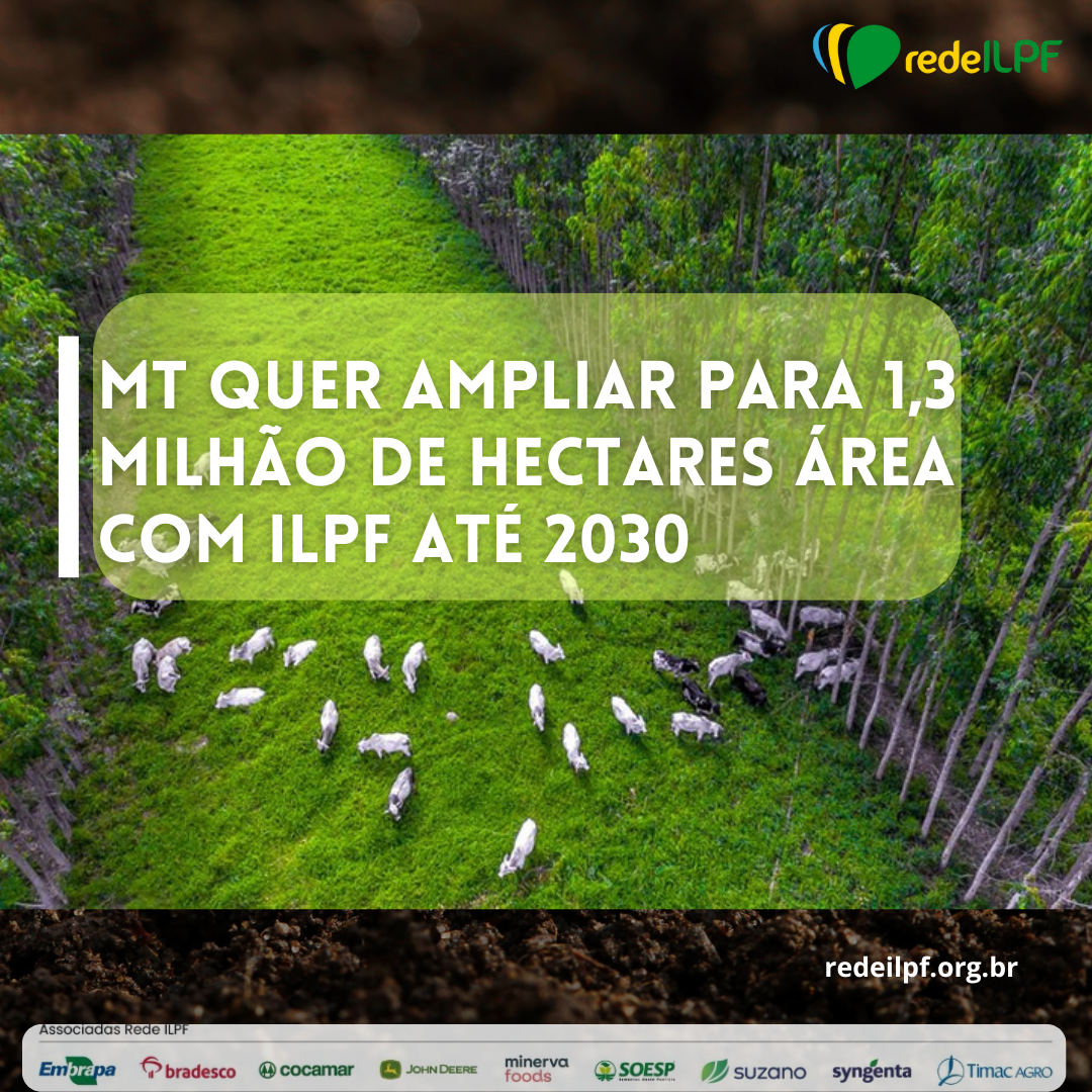 MT quer ampliar para 1,3 milhão de hectares área com ILPF até 2030
