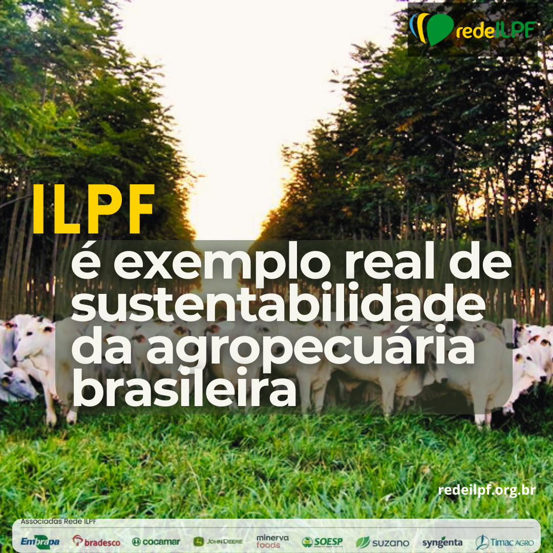 ILPF é exemplo real de sustentabilidade da agropecuária brasileira