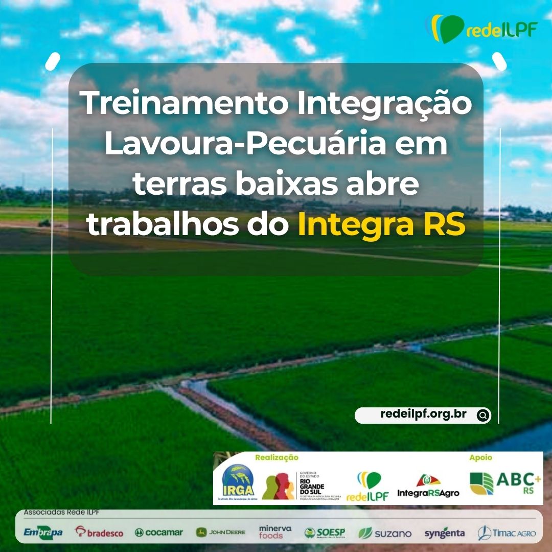 Treinamento Integração Lavoura-Pecuária em terras baixas abre trabalhos do Integra RS