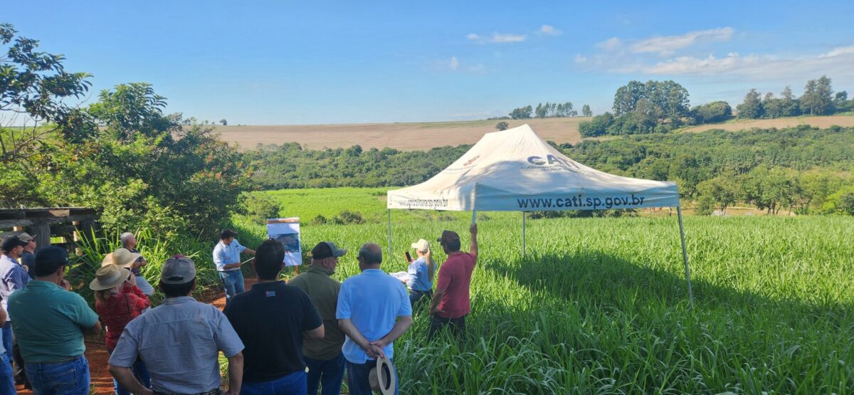 Encontro em Avaré e Dia de Campo em Taquarituba dão arranque ao terceiro ano do Integra SP