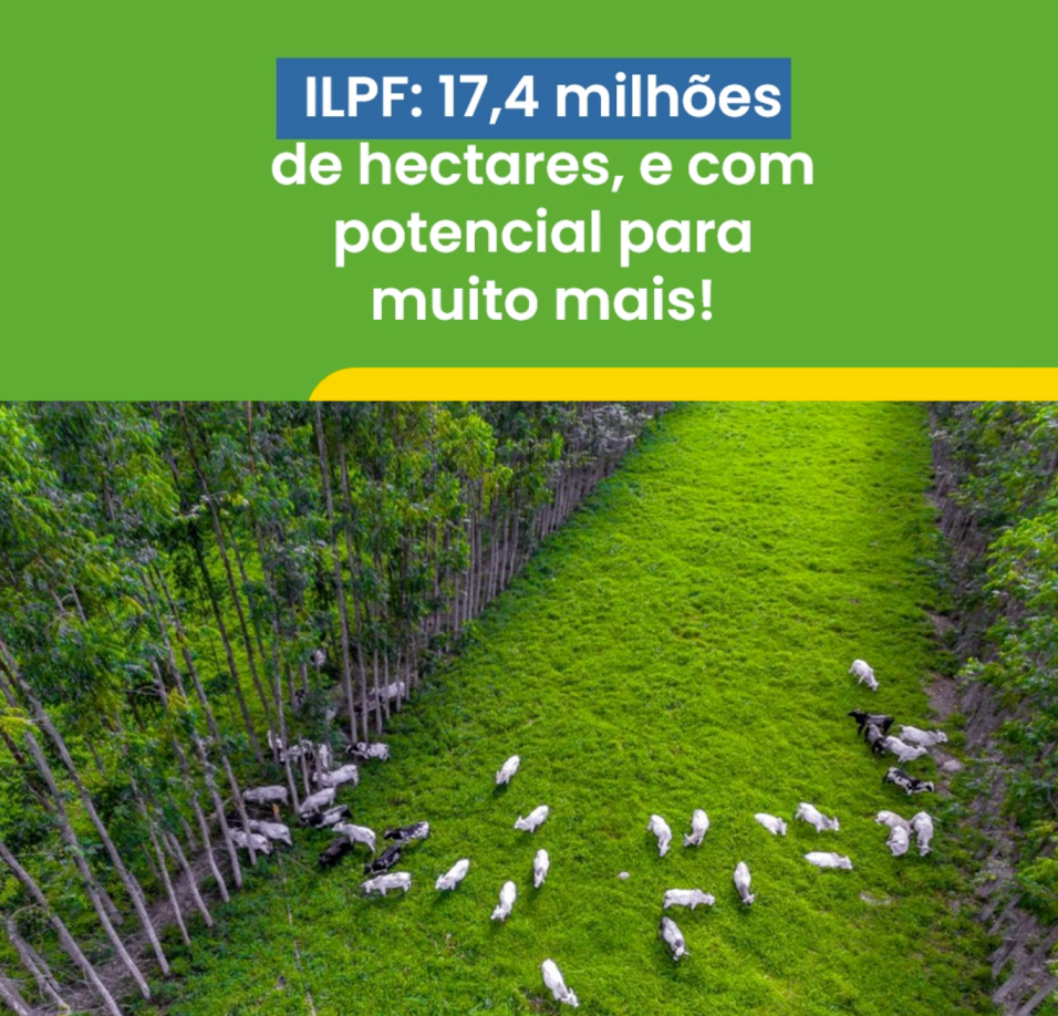 O potencial de expansão do Sistema ILPF