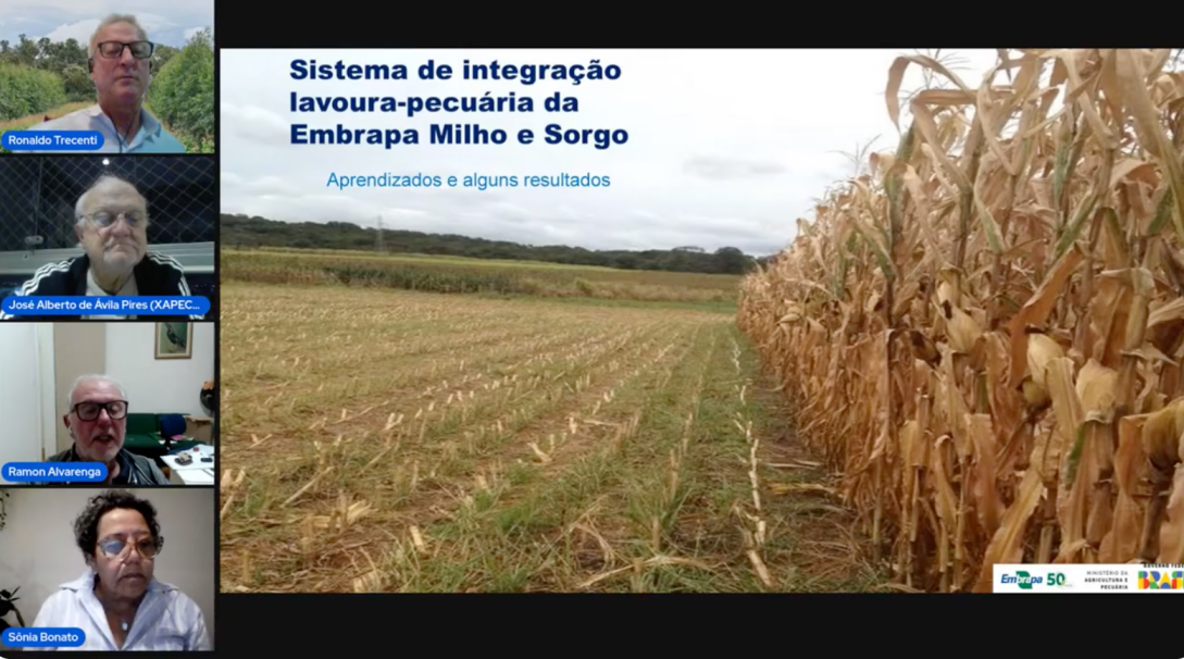 Em webinar com apoio da Rede ILPF, especialistas acentuam benefícios e resultados socioeconômicos e ambientais do Sistema ILPF