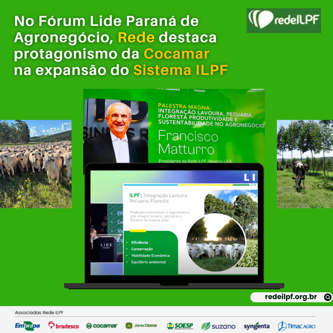 Rede ILPF destaca protagonismo da Cocamar na expansão do Sistema ILPF no Paraná